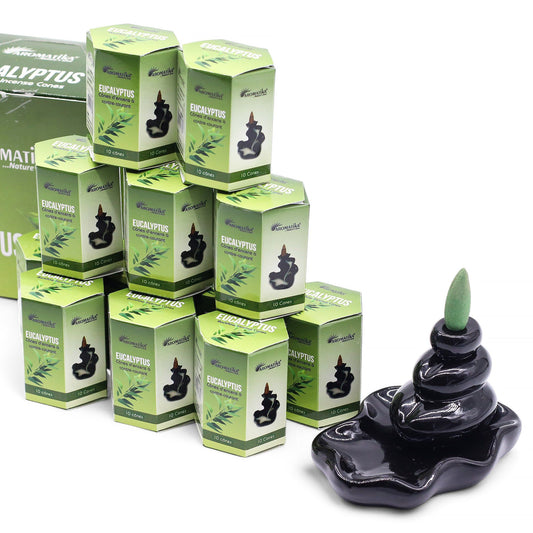 Pack of 10 Masala Backflow Incense - Eucalyptus