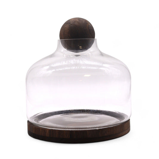 Ex-Large Ball Top Terrarium on Dark Tung Wood
