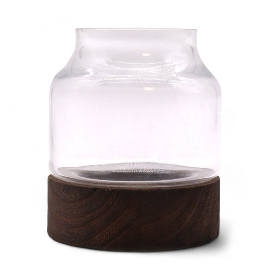 Small Shaped Terrarium on Dark Tung Wood
