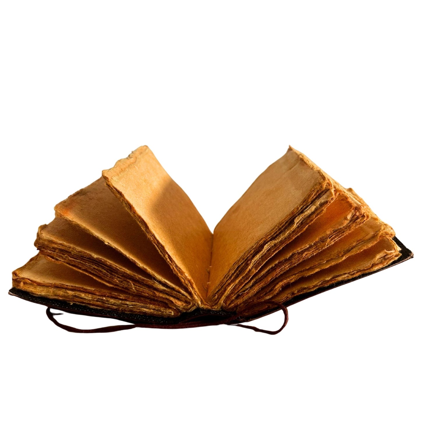 Fat Deckled Edge Leather Notebook – Every Day May Not Be Good (12.7 × 8.9 cm)