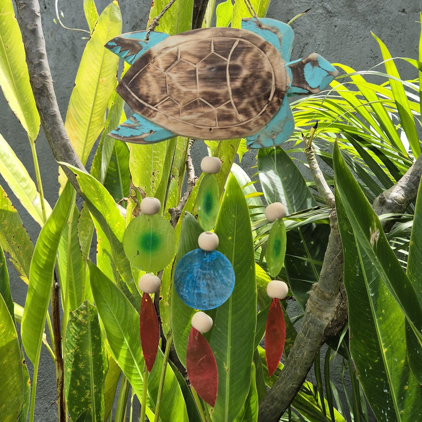 Aqua Turtle Carving and Copis Drop