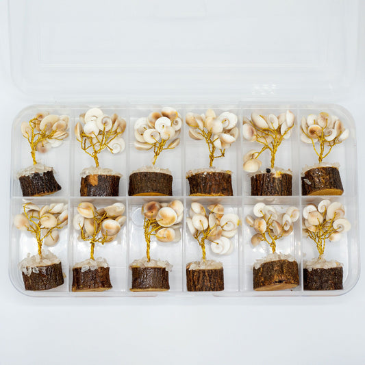 Small Gomati Chakra Circle Stone Tree with Rudraksha - (15 stones)