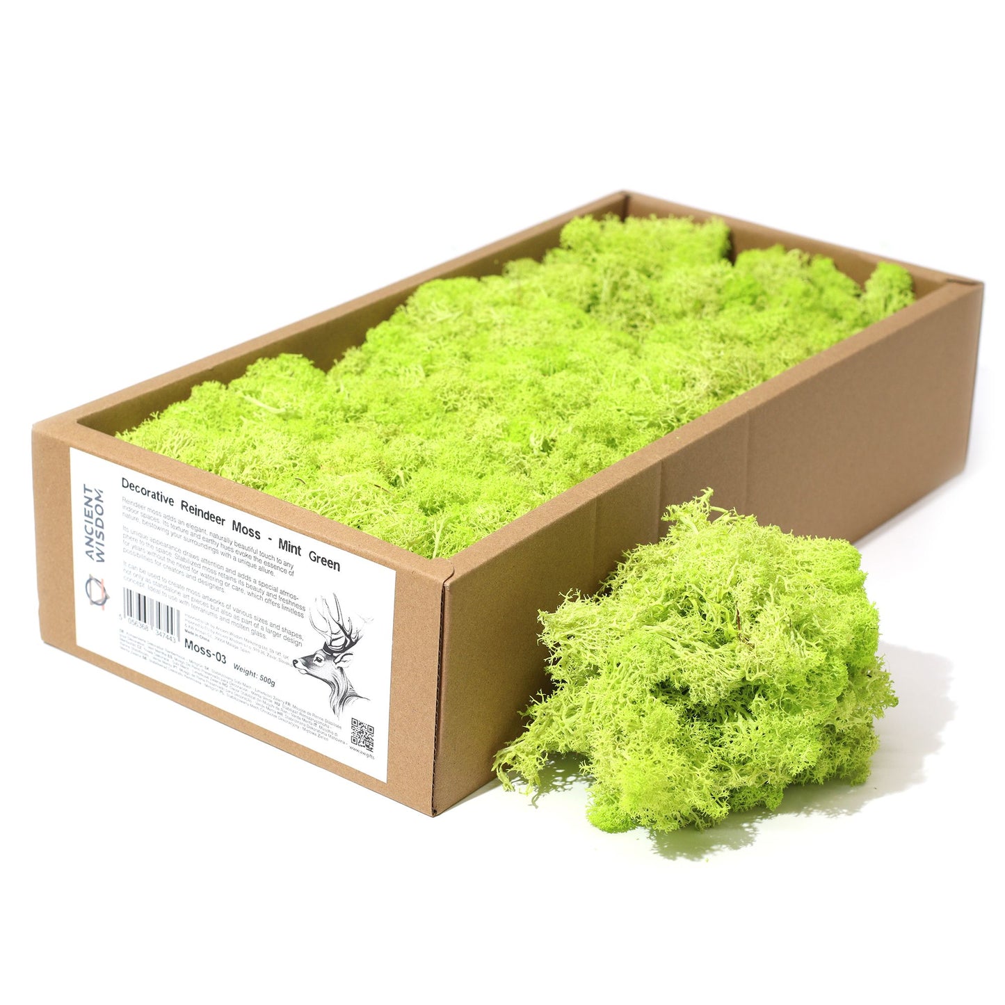 Decoration Reindeer Moss - Mint Green - (approx 500gm)