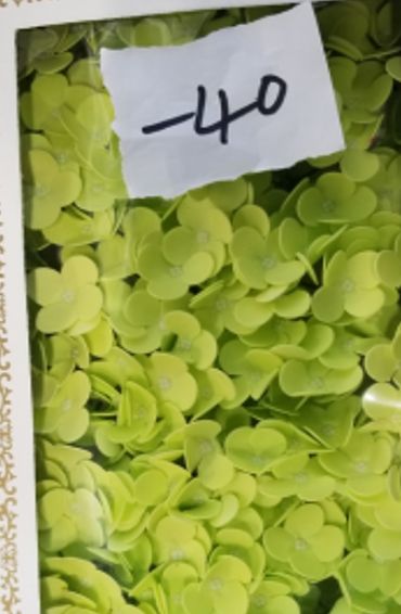 Craft Soap Flowers - Hyacinth Bean - Spring Green