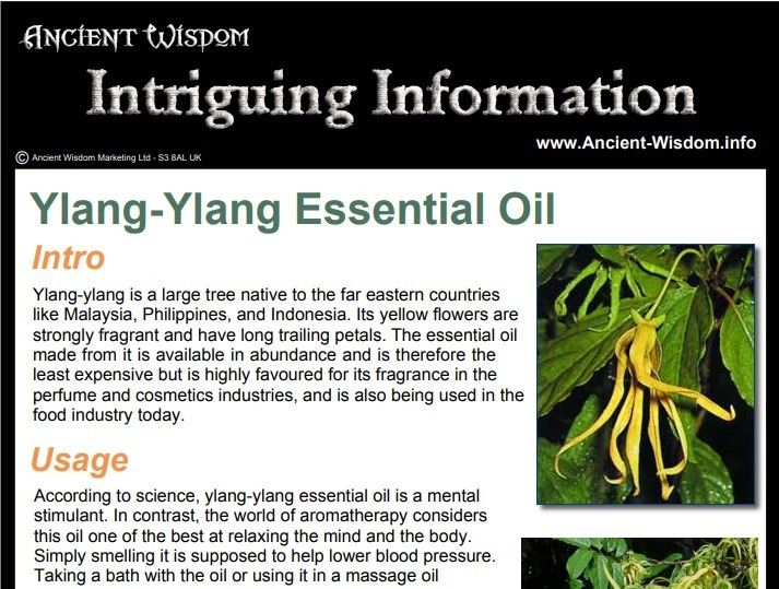 Rosemary Essential Oil Info