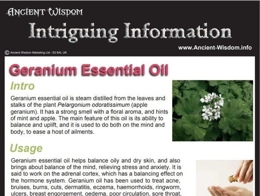Geranium Essential Oil Info