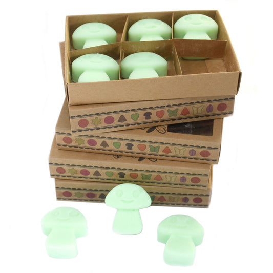 Box of 6 Wax Melts - Liquorice