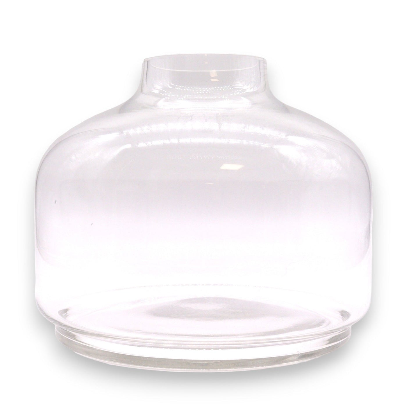 Ex-Large Ball Top Terrarium on Dark Tung Wood