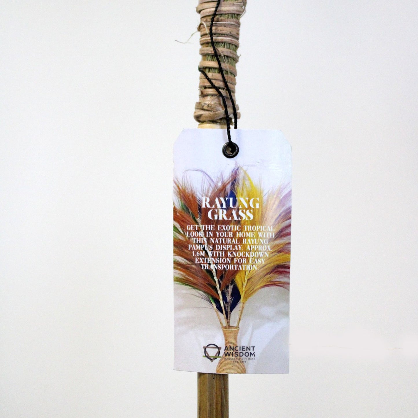 Rayung Grass Lavender- 1.6m