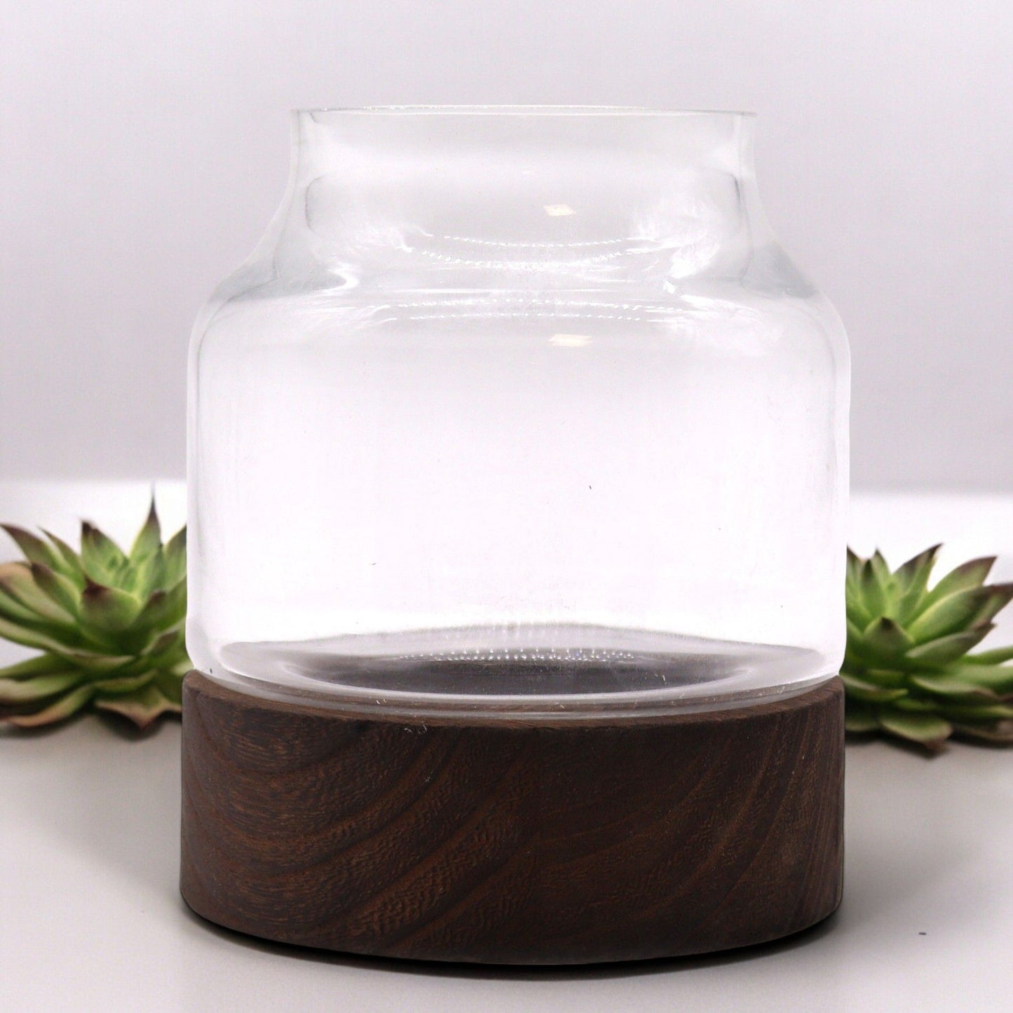 Small Shaped Terrarium on Dark Tung Wood