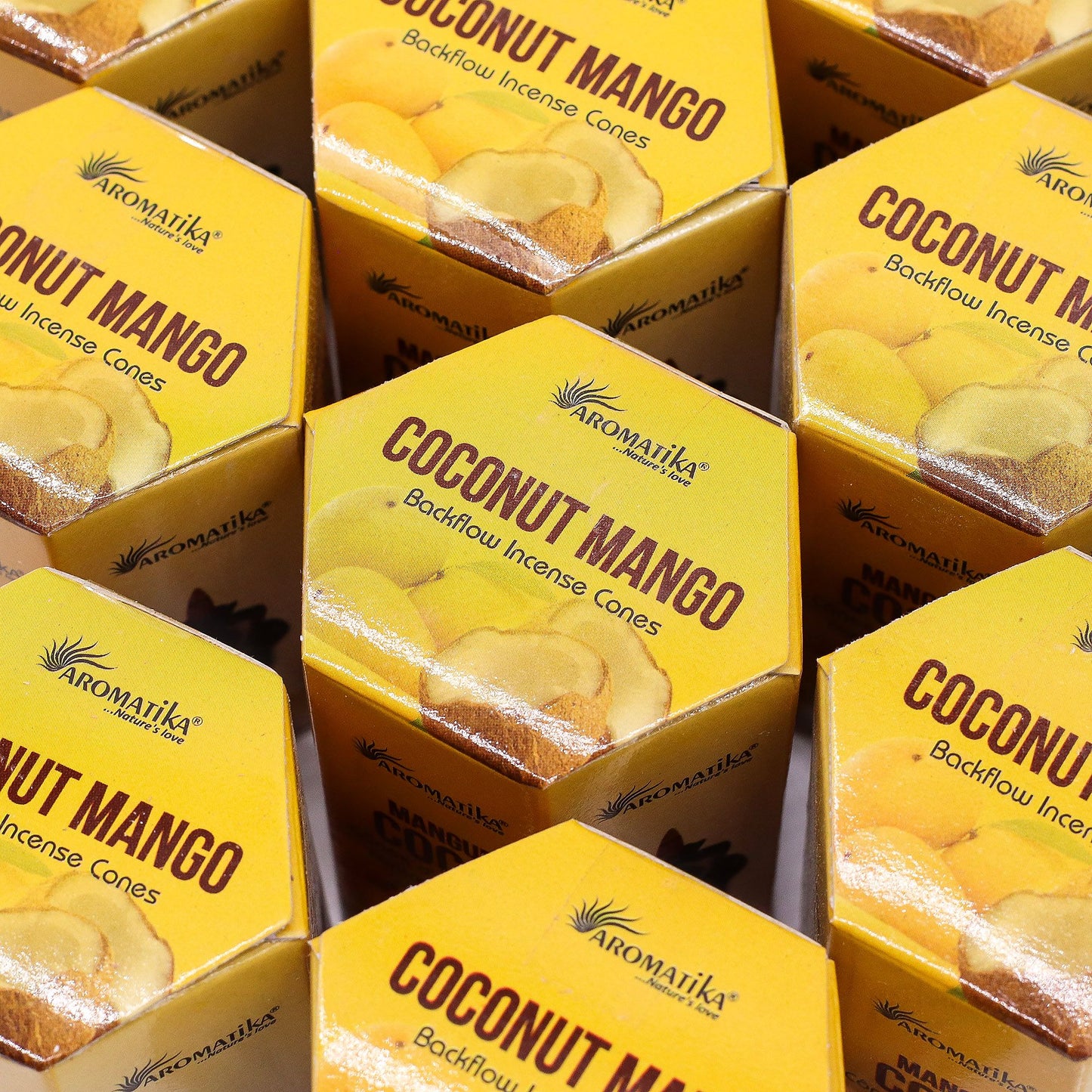 Pack of 10 Masala Backflow Incense - Coconut & Mango