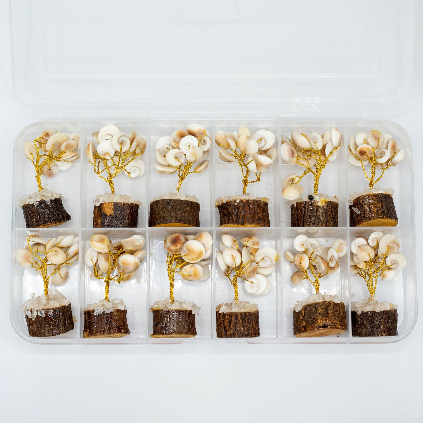 Small Gomati Chakra Circle Stone Tree with Rudraksha - (15 stones)