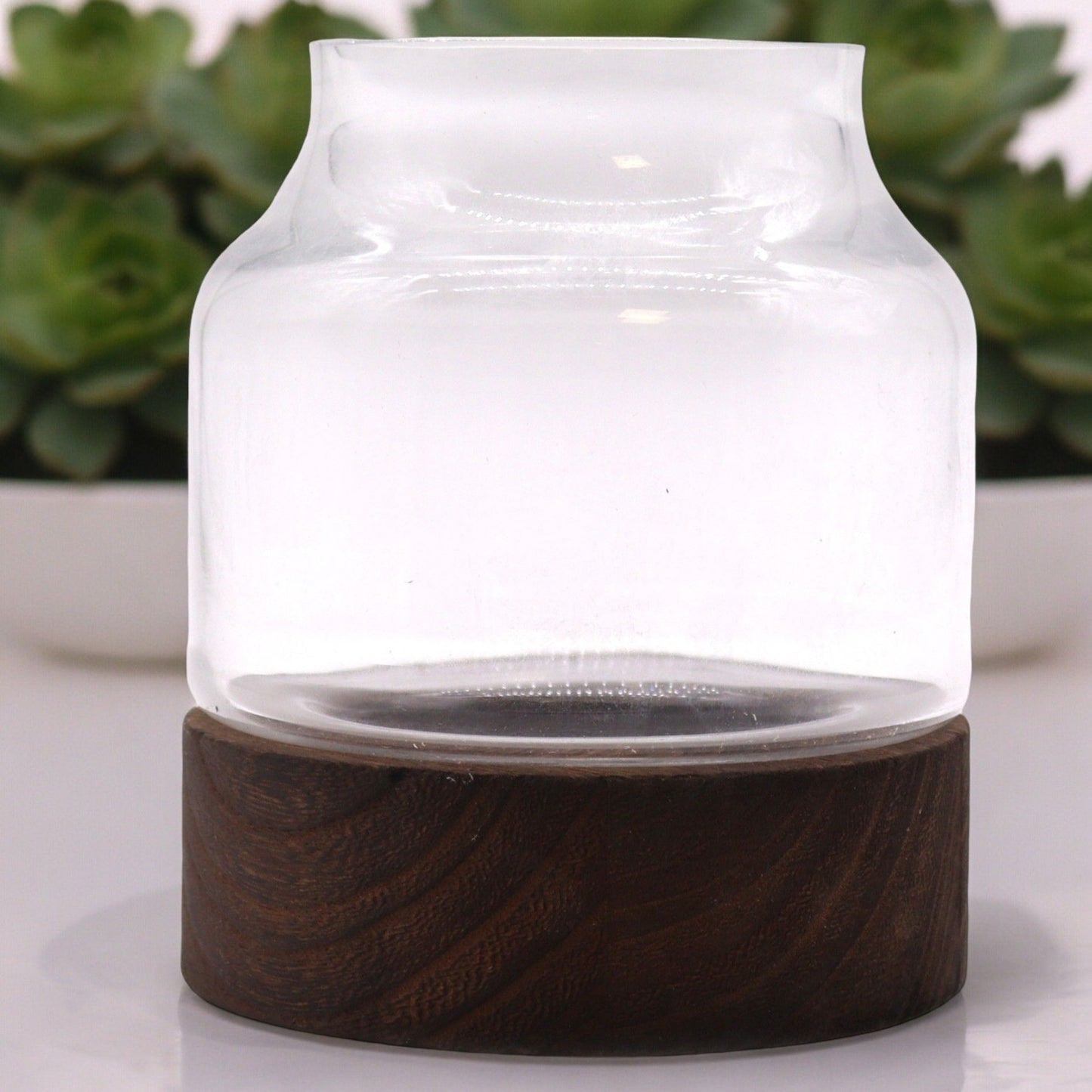 Medium Shaped Terrarium on Dark Tung Wood