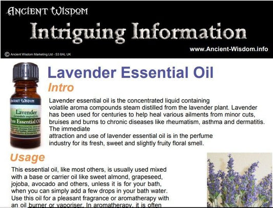 Lavender Essential Oil Info
